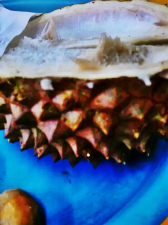 Gambar Makanan Raja Durian 8