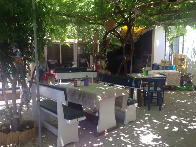 Limon Cafe Saklı Bahçe'nin yemek ve ambiyans fotoğrafları 2