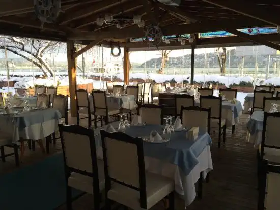 Riva Restaurant'nin yemek ve ambiyans fotoğrafları 5