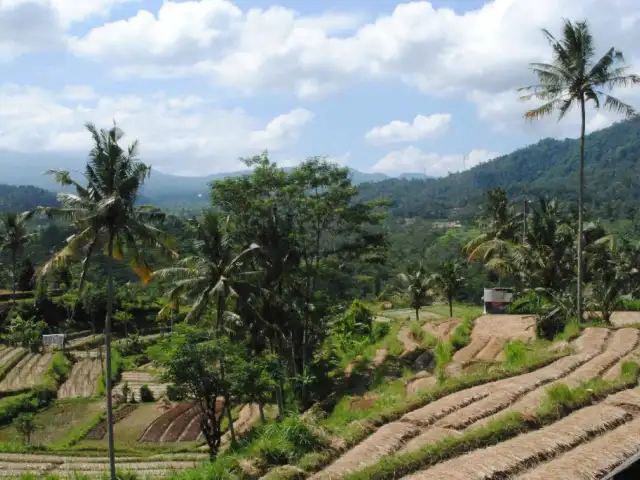 Gambar Makanan Warung Ume Anyar 11