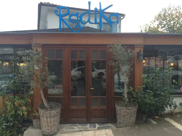 Radika Balık Restoran'nin yemek ve ambiyans fotoğrafları 2