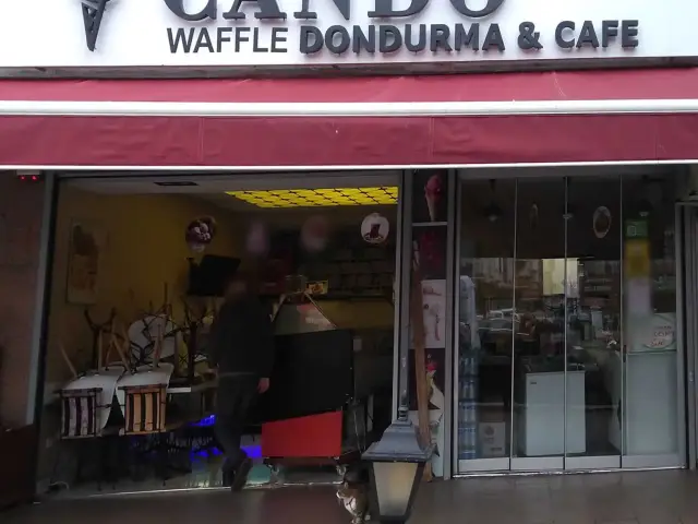 Cando Dondurma & Cafe'nin yemek ve ambiyans fotoğrafları 1