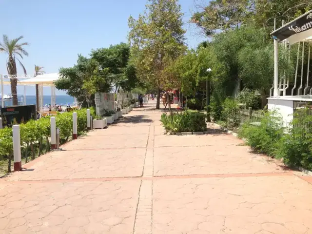 Yakamoz Beach'nin yemek ve ambiyans fotoğrafları 2