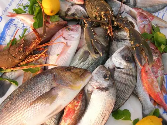 My Balıkçım Balık Lokantası'nin yemek ve ambiyans fotoğrafları 3