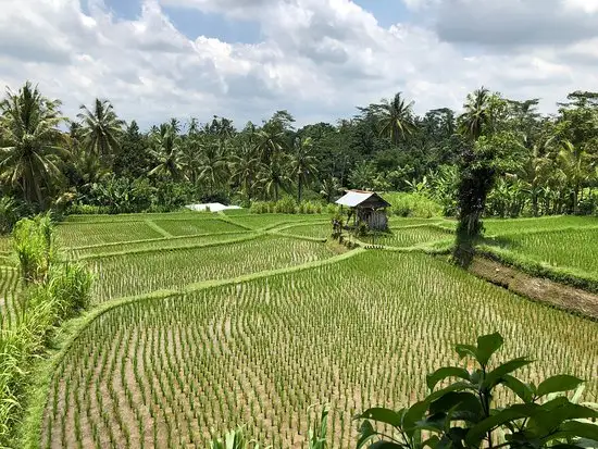 Gambar Makanan Koko Bambu Restaurant 6