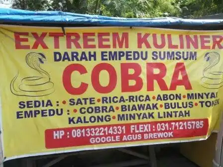 Sate Ular Cobra "Pak Agus Brewok"