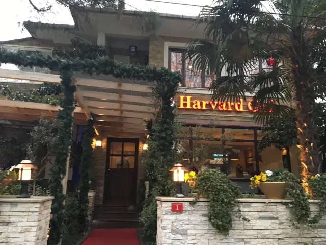 Harvard Cafe'nin yemek ve ambiyans fotoğrafları 55