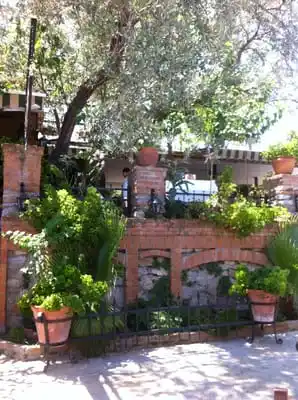 Sardunya Restoran'nin yemek ve ambiyans fotoğrafları 3
