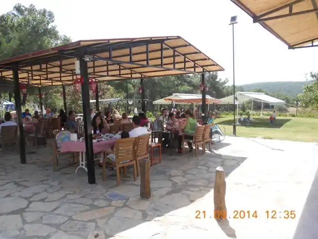 Parkorman Restaurant'nin yemek ve ambiyans fotoğrafları 4