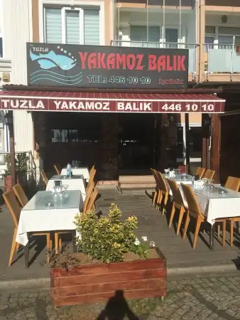 Tuzla Yakamoz Balık