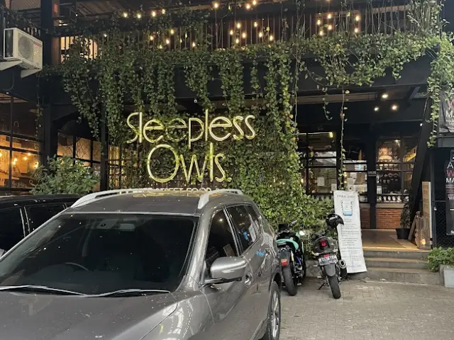 Sleepless Owls
