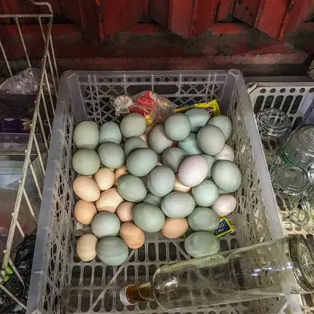 Gambar Makanan Stmj Telur Bebek Sakti 13