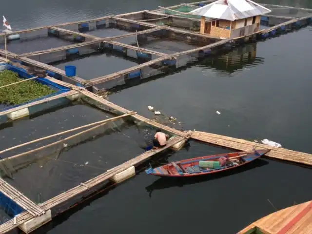 Gambar Makanan RM. Ikan Bakar Cililin 3