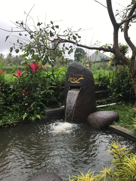 Gambar Makanan Warung de Koi 8