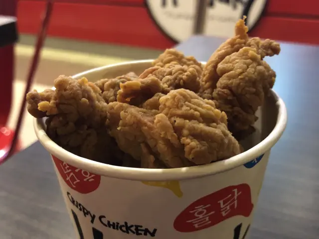 Gambar Makanan Holdak Crispy Chicken 19