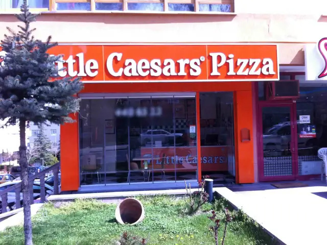 Little Ceasar's Pizza'nin yemek ve ambiyans fotoğrafları 2
