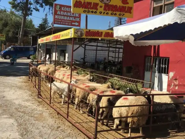 Köseoğlu Adaklık Kurbanlık Çakırlar Yolu'nin yemek ve ambiyans fotoğrafları 5