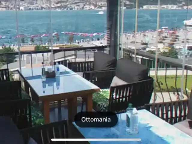 Ottomania Cafe & Nargile'nin yemek ve ambiyans fotoğrafları 7