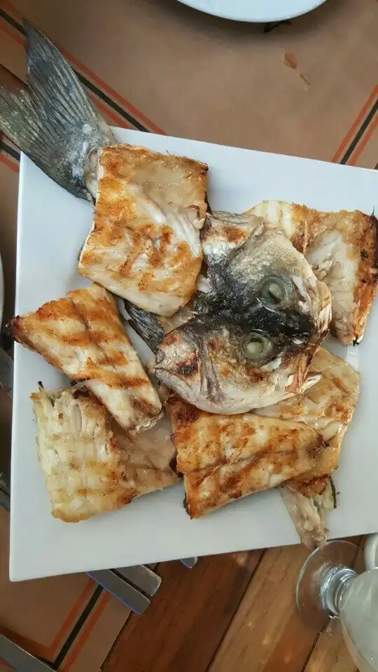Sarpa balık Evi'nin yemek ve ambiyans fotoğrafları 2