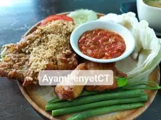 Ayam Penyet CT Food Photo 1