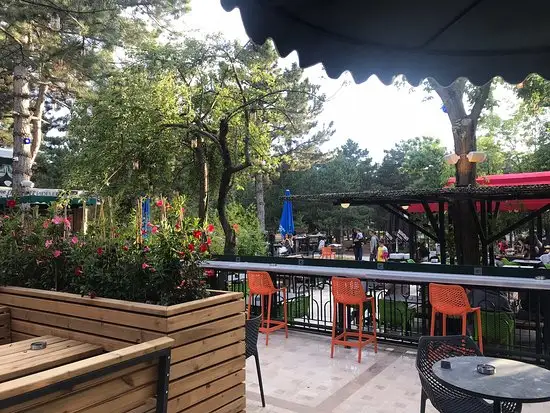 Lozan Park Cafe Restaurant'nin yemek ve ambiyans fotoğrafları 2