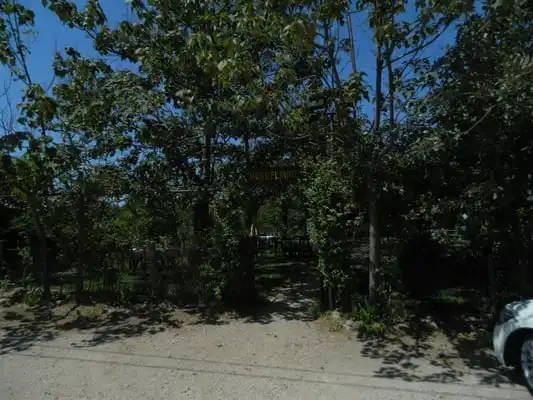 Çiftlik Park'nin yemek ve ambiyans fotoğrafları 2