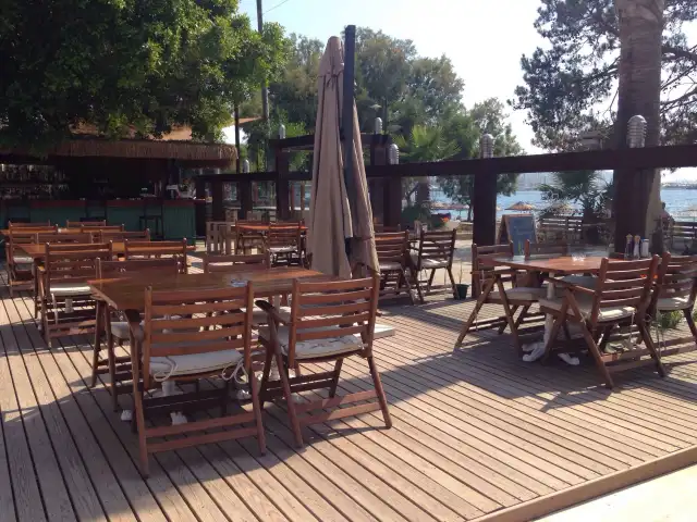 Mercan Restaurant'nin yemek ve ambiyans fotoğrafları 5