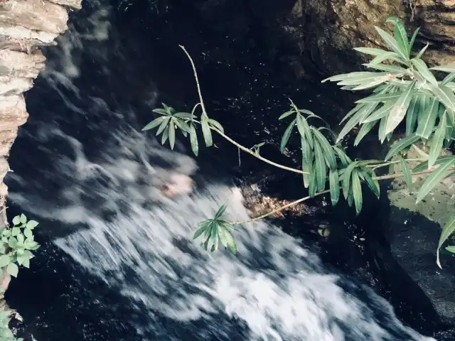 Ayazma Kafe'nin yemek ve ambiyans fotoğrafları 20