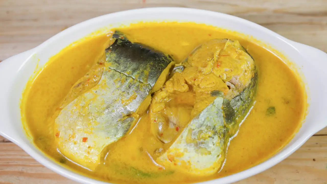 IKAN PATIN ADINDA