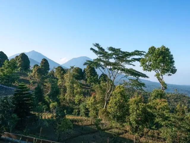 Gambar Makanan Munduk Farm House 10