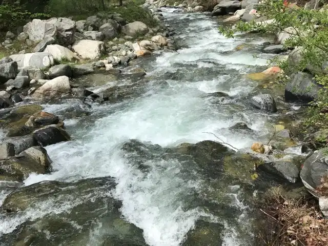 Babaçınar'nin yemek ve ambiyans fotoğrafları 3