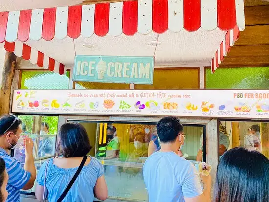 Bohol Bee Farm's The Buzzz Ice Cream Food Photo 4