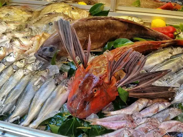 Mira Balık'nin yemek ve ambiyans fotoğrafları 12