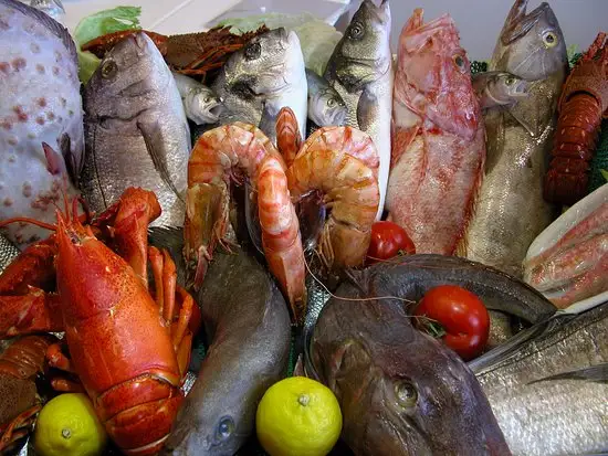 Galata Balık'nin yemek ve ambiyans fotoğrafları 9