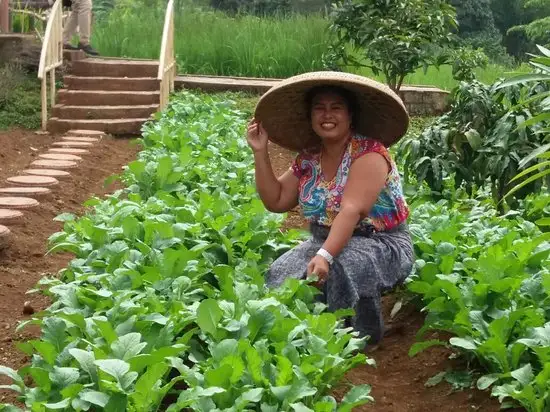 Gambar Makanan De' Saung 7