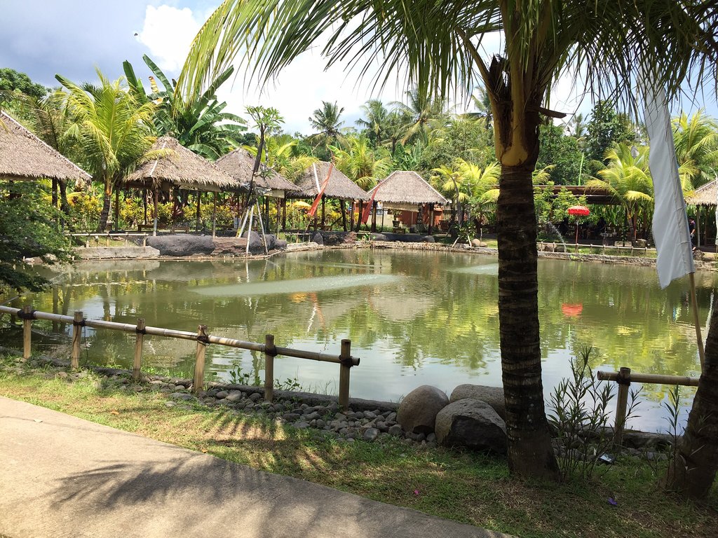 Rumah Makan Tegal Dadong Terdekat - Restoran Dan Tempat Makan ...