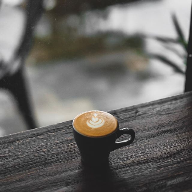 The Bean Garden terdekat Restoran dan Tempat Makan Coffee & Tea terdekat di Yogyakarta