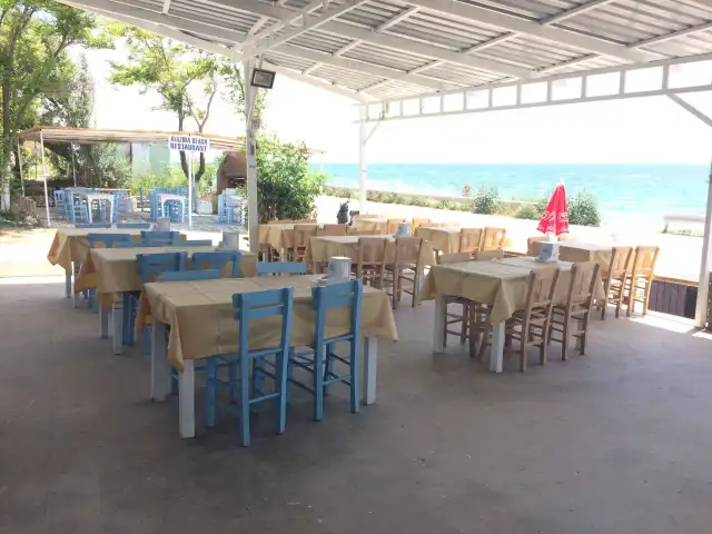 Ayazma Bozcaada Beach'nin yemek ve ambiyans fotoğrafları 4