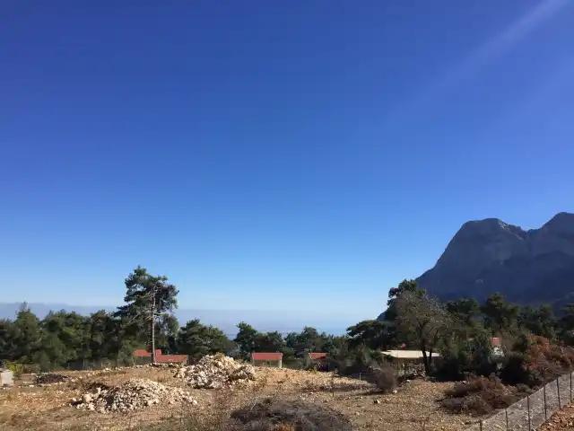 Geyikbayiri Pinarbaşi Restaurant'nin yemek ve ambiyans fotoğrafları 4