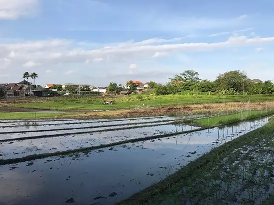 Gambar Makanan Garden Canggu by Pizza House 1