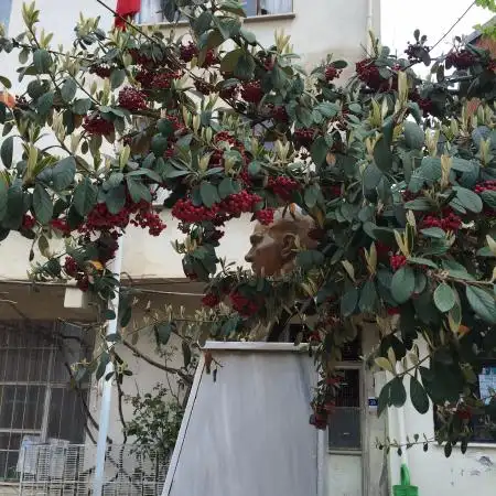 Aksu Köyü Kadınları Dayanışma Derneği (Kahvaltı Evi)'nin yemek ve ambiyans fotoğrafları 3