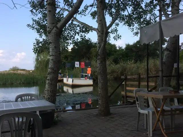 Şile Sal Cafe'nin yemek ve ambiyans fotoğrafları 2