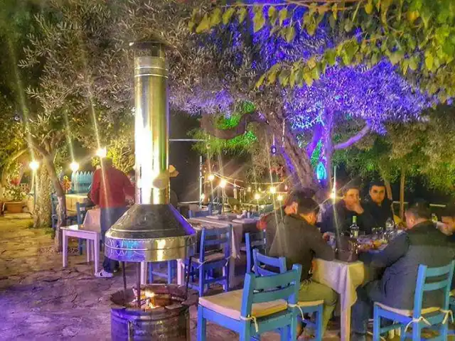Sardelaki Greek Tavern'nin yemek ve ambiyans fotoğrafları 24