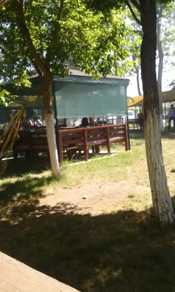 Subaşı Şelalesi Piknik Retaurant'nin yemek ve ambiyans fotoğrafları 3
