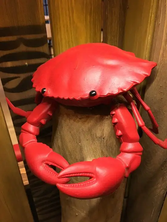 Gambar Makanan Dancing Crab 9