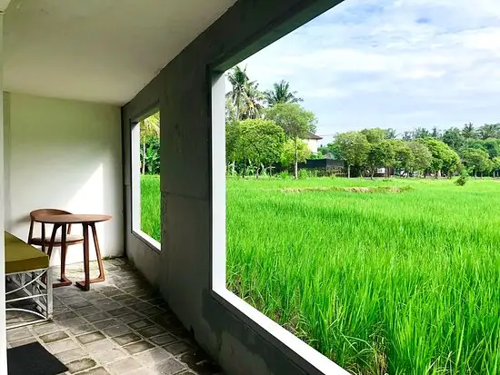 Gambar Makanan Mywarung Singakerta Ubud 3