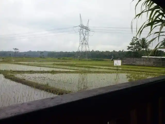 Gambar Makanan Rumah Makan Rojo Lele 8