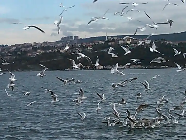 Yeniköy Spor Kulübü Tesisleri