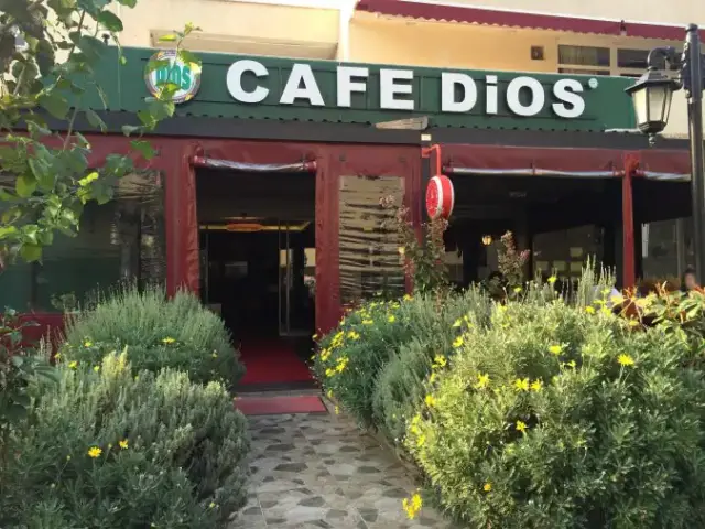 Cafe Dios'nin yemek ve ambiyans fotoğrafları 1