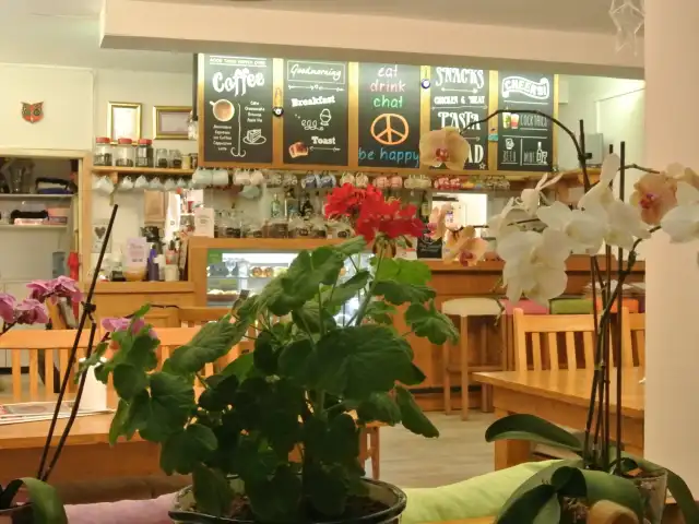 Sofa Cafe Bistro'nin yemek ve ambiyans fotoğrafları 3